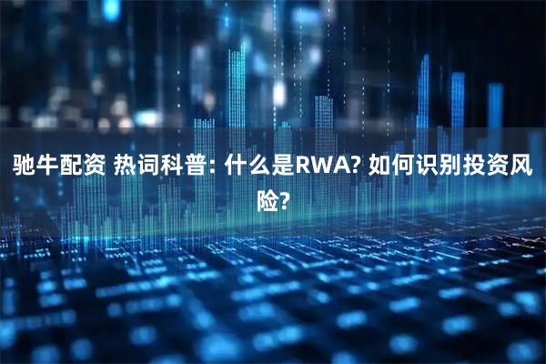驰牛配资 热词科普: 什么是RWA? 如何识别投资风险?