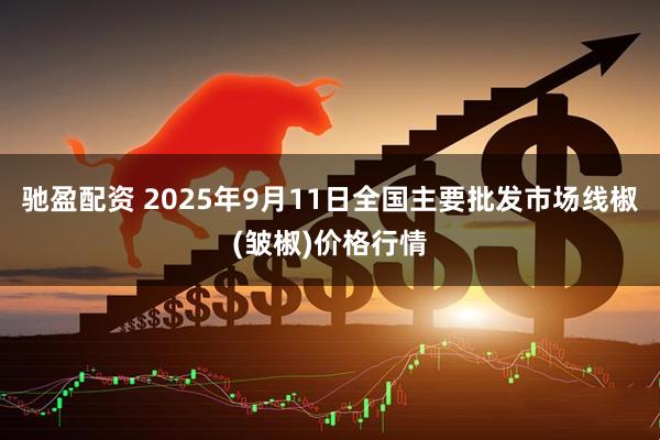 驰盈配资 2025年9月11日全国主要批发市场线椒(皱椒)价格行情