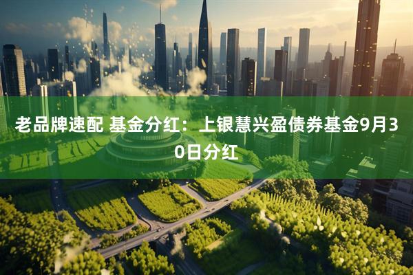 老品牌速配 基金分红：上银慧兴盈债券基金9月30日分红