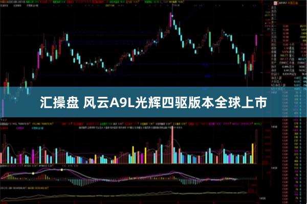 汇操盘 风云A9L光辉四驱版本全球上市